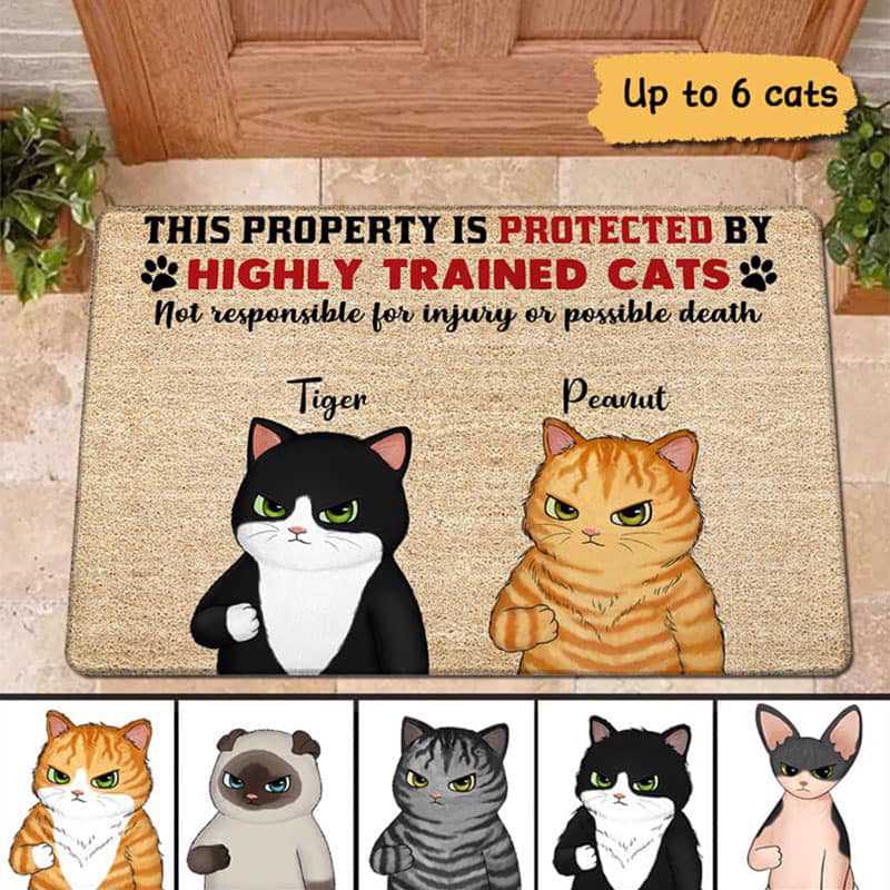 Property Protected By Grumpy Cat Personalized Doormat