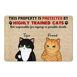 Property Protected By Grumpy Cat Personalized Doormat