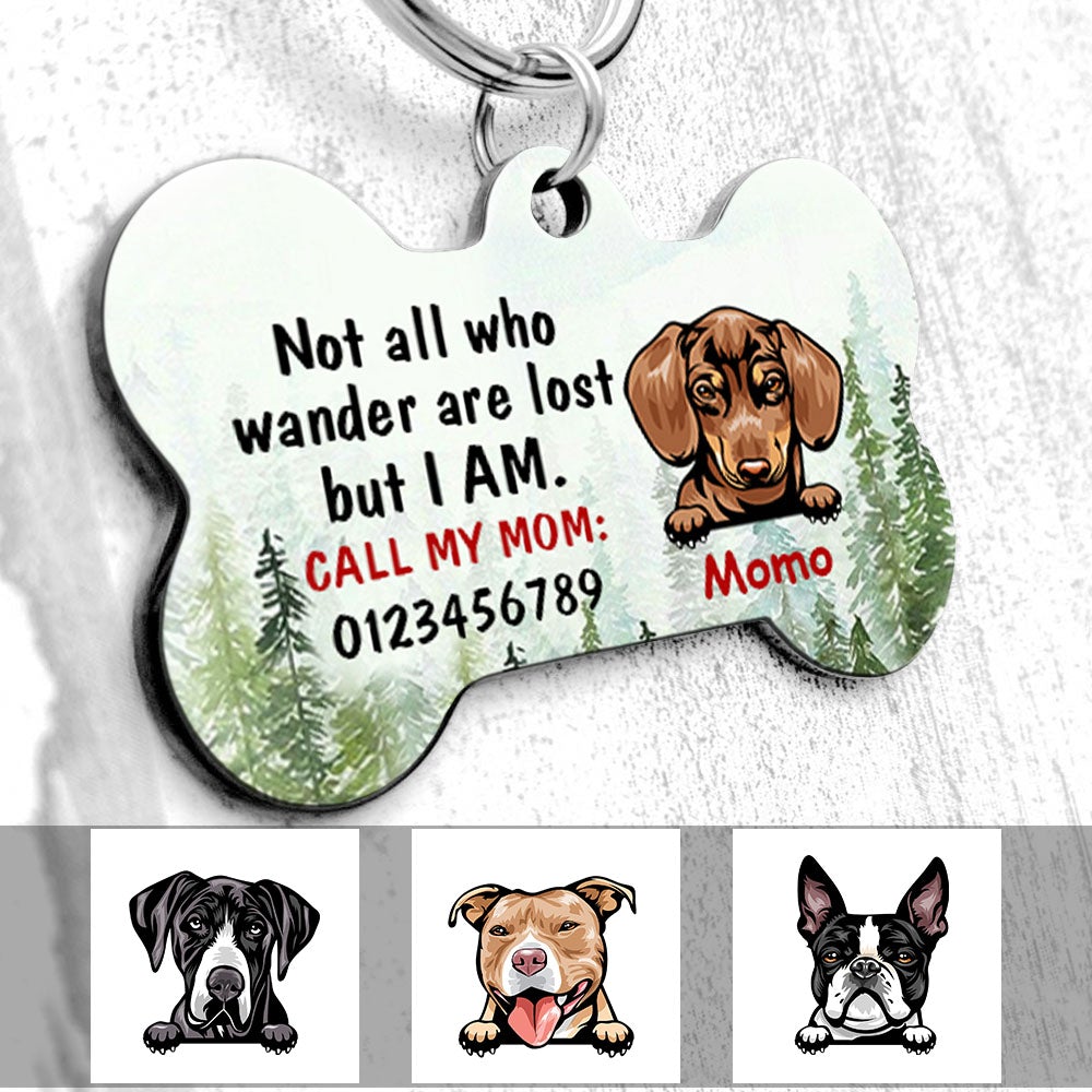Personalized Dog Lost Wander Bone Pet Tag