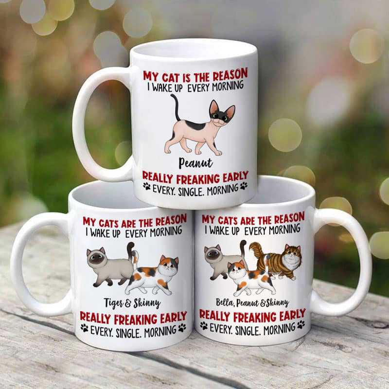 Reason I Wake Up Early Walking Fluffy Cats Personalized Mug
